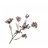 SILK-KA Dill Branch Purple | 107 cm SILK-KA Dill Branch Purple | 107 cm