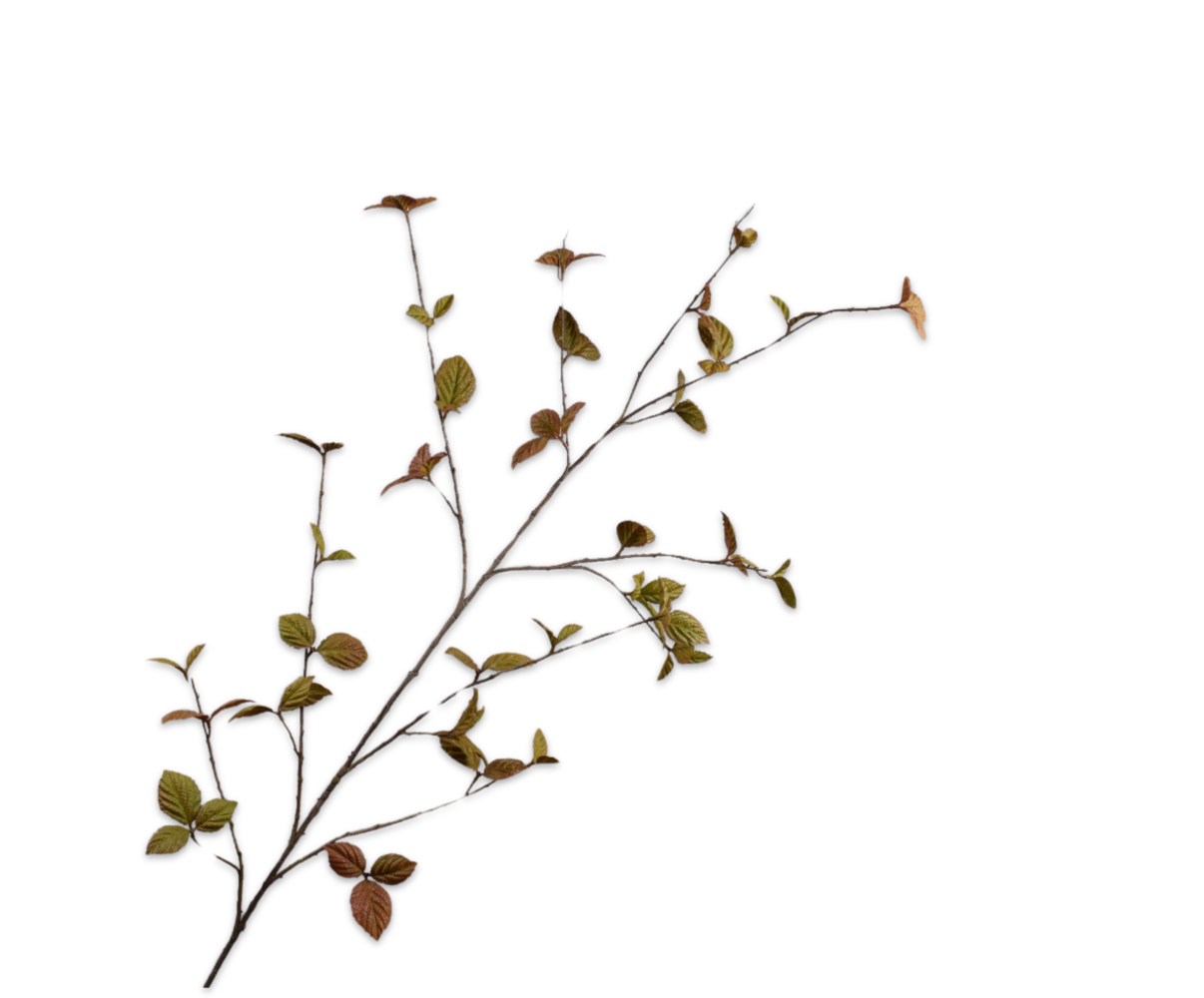 SILK-KA Leaf branch Brown LT | 163 cm SILK-KA Leaf branch Brown LT | 163 cm
