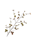 SILK-KA Leaf branch Brown LT | 163 cm SILK-KA Leaf branch Brown LT | 163 cm