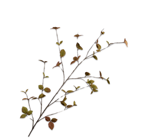 SILK-KA Branche de feuilles Marron LT | 163 cm SILK-KA Branche de feuilles Marron LT | 163 cm