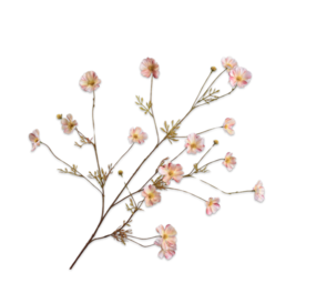 SILK-KA Cosmos Branch Cream / Rosa | 104 cm SILK-KA Cosmos Branch Cream / Rosa | 104 cm
