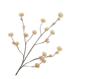 SILK-KA Crema per rami d'ago | 125cm SILK-KA Crema per rami d'ago | 125cm