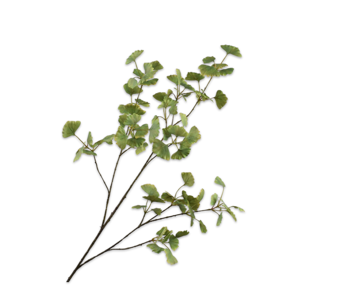 SILK-KA Ramo di Ginkgo Verde LT | 115cm SILK-KA Ramo di Ginkgo Verde LT | 115cm