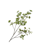 SILK-KA Ginkgo Tak Groen LT | 115 cm