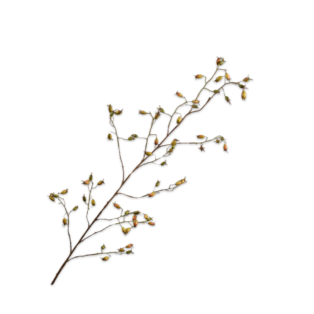 kentia palme knstlich Knstliche Kentia Palme, 110
