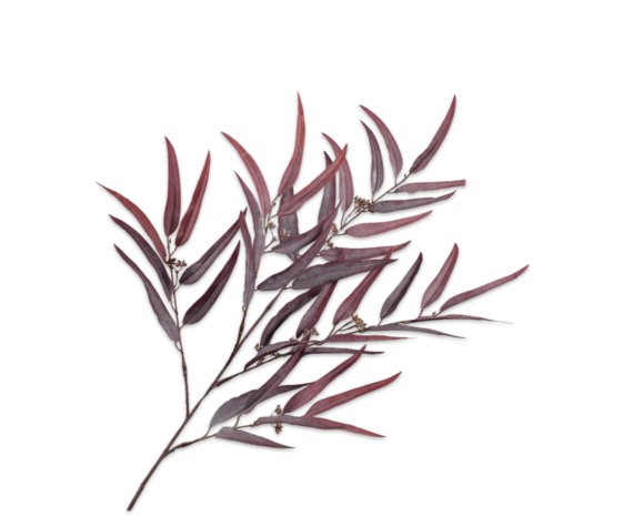 SILK-KA Palmzweig Lila | 123 cm SILK-KA Palmzweig Lila | 123 cm