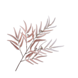 SILK-KA Champion de la branche de palmier | 123 cm SILK-KA Champion de la branche de palmier | 123 cm