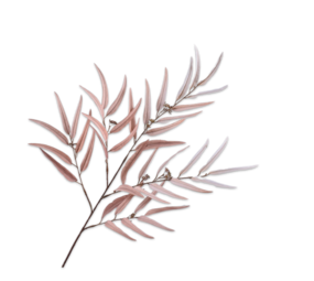 SILK-KA Palm Tak Champ | 123 cm