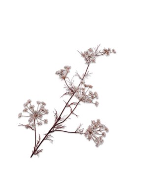 SILK-KA Ramo Di Aneto Bianco | 122cm