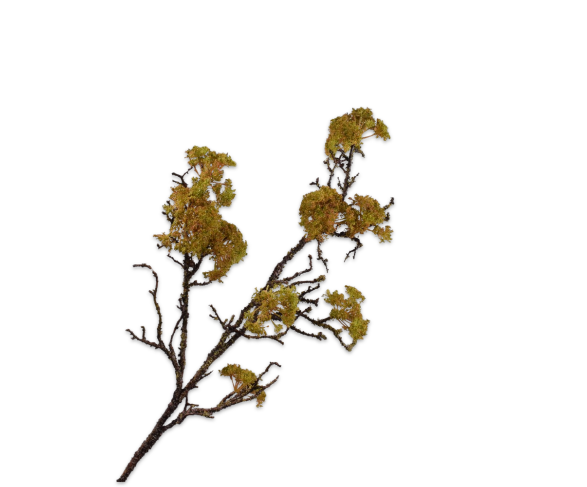 SILK-KA Tregren Mosegrønn | 101 cm SILK-KA Tregren Mosegrønn | 101 cm