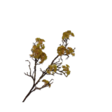 SILK-KA Holzzweig Moosgrün | 101 cm SILK-KA Holzzweig Moosgrün | 101 cm