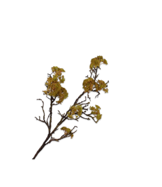SILK-KA Wood Branch Moss Green | 101 cm