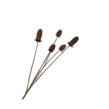 SILK-KA Branche de Chardon Marron / Vert | 120 cm