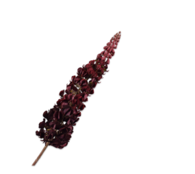 SILK-KA Lupin Acier Bordeaux | 106 cm SILK-KA Lupin Acier Bordeaux | 106 cm