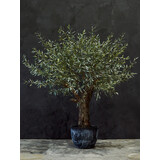 SILK-KA Olijf Boom Groen | 240 cm