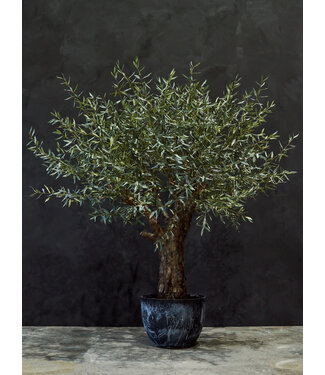 SILK-KA Olijf Boom Groen | 240 cm