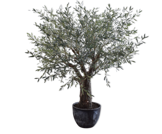 SILK-KA Oliventre grønt | 240 cm SILK-KA Oliventre grønt | 240 cm