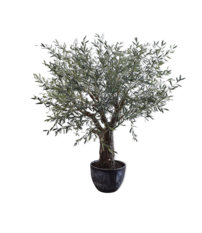 SILK-KA Verde Olivo | 240cm