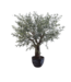 SILK-KA Olijf Boom Groen | 240 cm