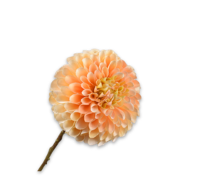 SILK-KA Dahlia stamme fersken | 64 cm SILK-KA Dahlia stamme fersken | 64 cm