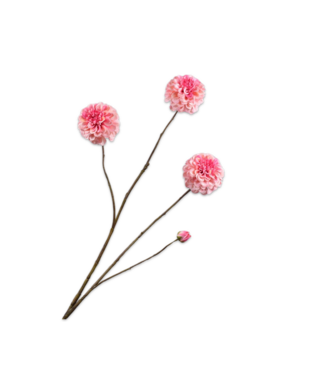 SILK-KA Dahlia Branch Pink | 103 cm