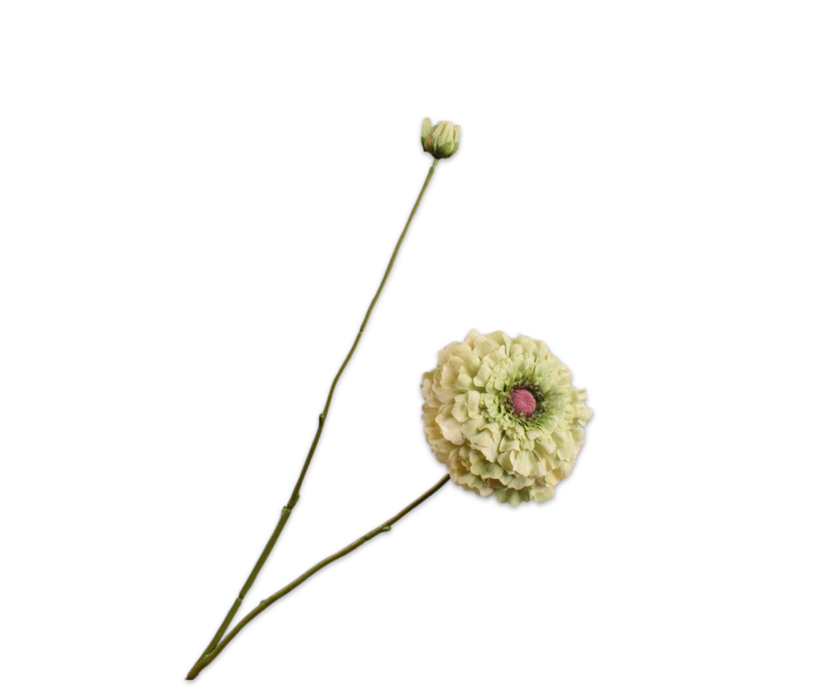 SILK-KA Rama Zinnia Verde | 85cm SILK-KA Rama Zinnia Verde | 85cm