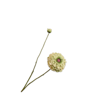 SILK-KA Rama Zinnia Verde | 85cm