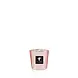 Baobab Collection Candela profumata Les Exclusives Roseum | Massimo 08 Baobab Collection Candela profumata Les Exclusives Roseum | Massimo 08