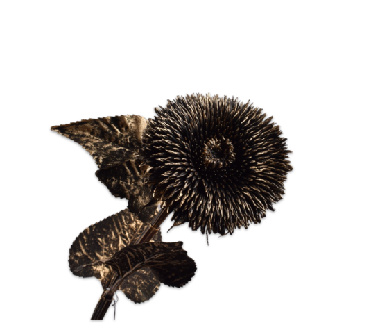 SILK-KA Sonnenblumenstiel Schwarz / Gold | 96 cm SILK-KA Sonnenblumenstiel Schwarz / Gold | 96 cm