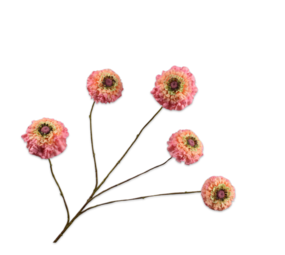 SILK-KA Pêche de branche de Zinnia | 91 cm SILK-KA Pêche de branche de Zinnia | 91 cm