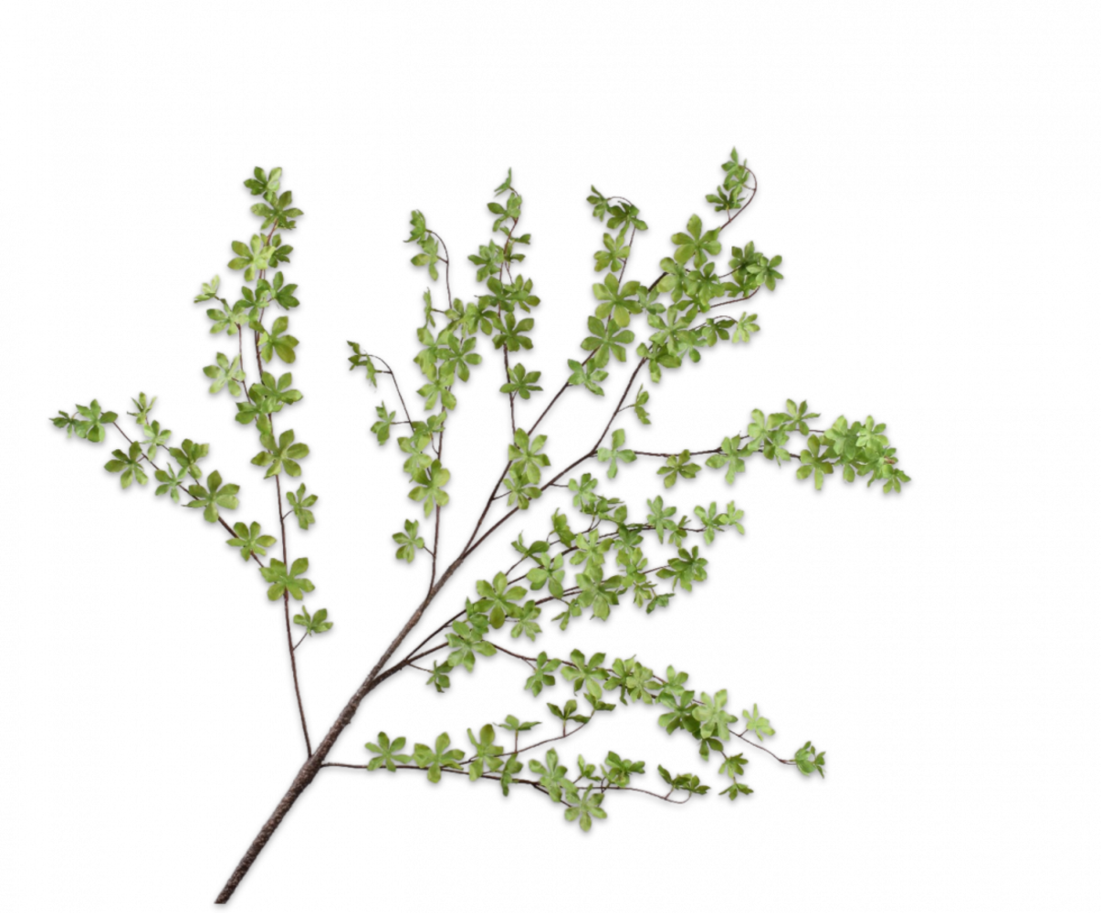 SILK-KA Ramo foglia verde | 150cm SILK-KA Ramo foglia verde | 150cm