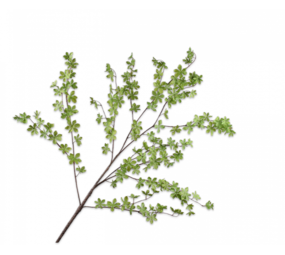 SILK-KA Branche de feuilles Vert | 150 cm SILK-KA Branche de feuilles Vert | 150 cm