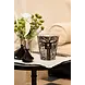 Baobab Collection Bougie parfumée Arbres Sacrés Morondo | Maximum 24 Baobab Collection Bougie parfumée Arbres Sacrés Morondo | Maximum 24