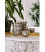 Baobab Collection Geurkaars Arabian Nights | Max 24