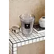 Baobab Collection Candela profumata All Seasons White Rhino | Massimo 24 Baobab Collection Candela profumata All Seasons White Rhino | Massimo 24