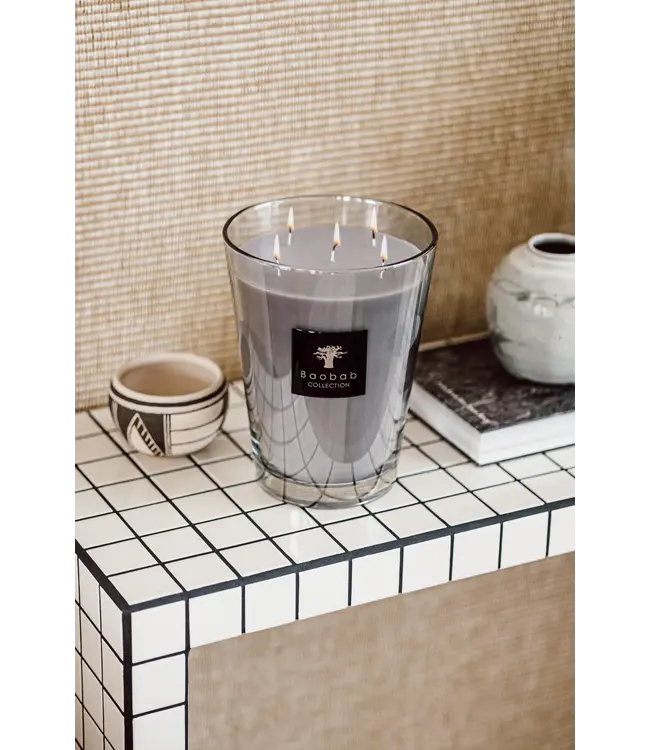 Baobab Collection Bougie parfumée All Seasons White Rhino | Maximum 10