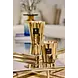 Baobab Collection Candela profumata Les Exclusives Aurum | Massimo 35 Baobab Collection Candela profumata Les Exclusives Aurum | Massimo 35