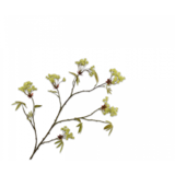 SILK-KA Ahornzweig grün | 110 cm SILK-KA Ahornzweig grün | 110 cm