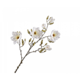 SILK-KA Crème de branche de magnolia | 138 cm SILK-KA Crème de branche de magnolia | 138 cm