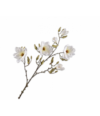 SILK-KA Magnolienzweig Creme | 138 cm