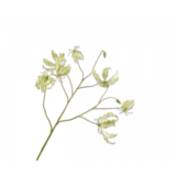 SILK-KA Branche Gloriosa Verte | 110 cm SILK-KA Branche Gloriosa Verte | 110 cm