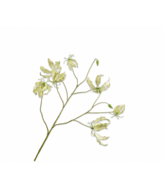 SILK-KA Gloriosa Tak Groen | 110 cm