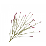 SILK-KA Branche de Pimpernel Rose | 116cm SILK-KA Branche de Pimpernel Rose | 116cm
