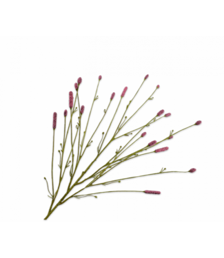 SILK-KA Pimpernel Branch Pink | 116 cm