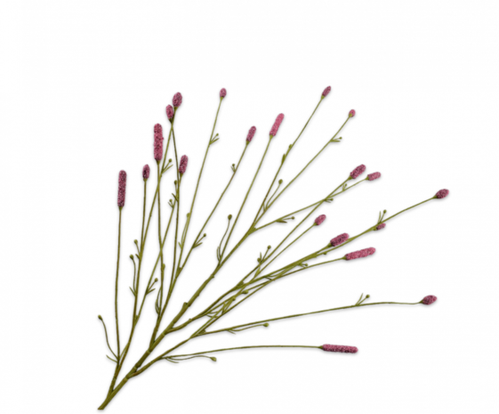 SILK-KA Pimpernel Tak Roze | 116 cm SILK-KA Pimpernel Tak Roze | 116 cm