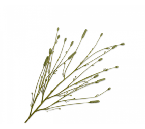 SILK-KA Branche de Burnet Vert | 116cm