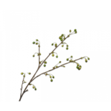 SILK-KA Ramo di bacca verde | 111cm