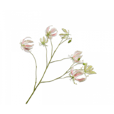 SILK-KA Branche Gloriosa Rose | 110cm SILK-KA Branche Gloriosa Rose | 110cm