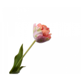 SILK-KA Tulipano Rosa/Verde | 66cm