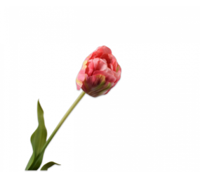 SILK-KA Tulipe Rose / Jaune | 66 cm SILK-KA Tulipe Rose / Jaune | 66 cm